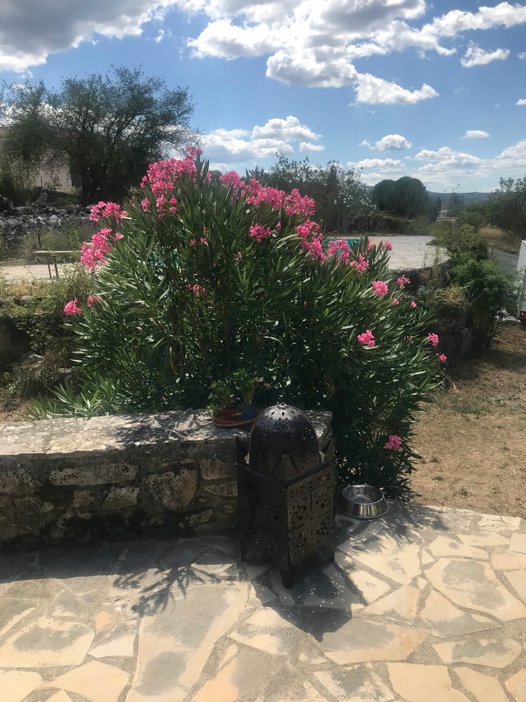 Ferienhaus Le Bourgnolle Ferienhaus Le Bourgnolle